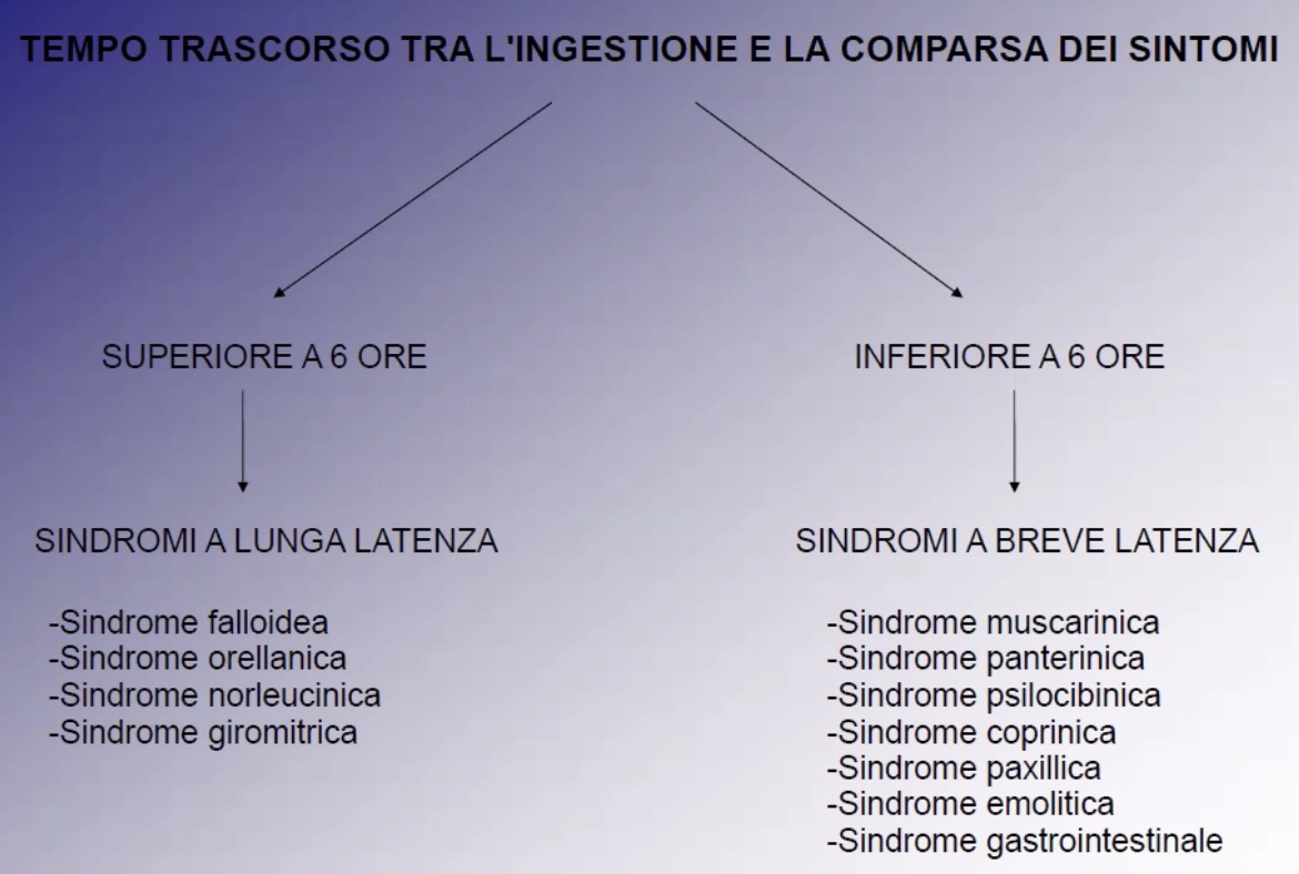 ComparazioneBreveLungaLatenza