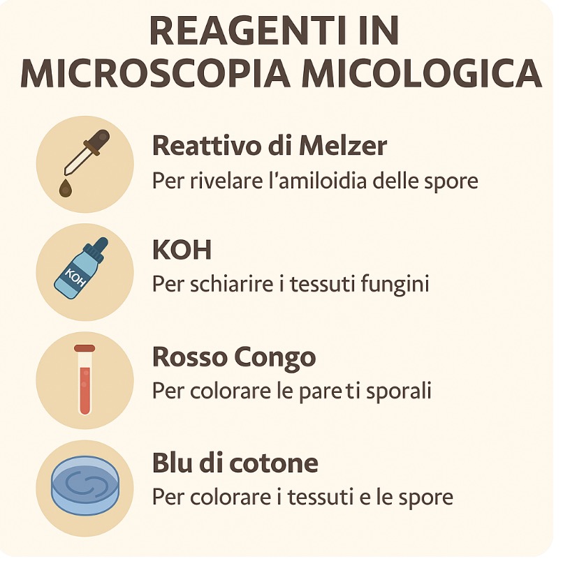 Reagenti1