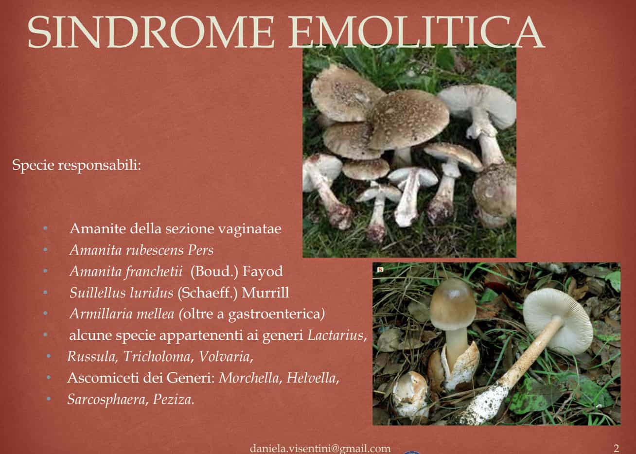 SindromeEMolitica